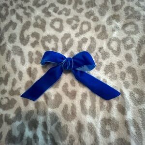 Elegant Blue Velvet Bow